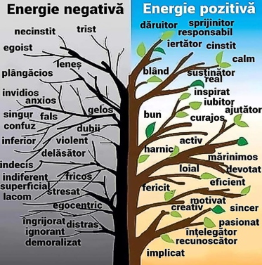 Energie-Pozitiva-Negativa-slider